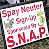 Spay/Neuter Success